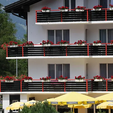 Hotel Restaurant Mattmarkblick 3*