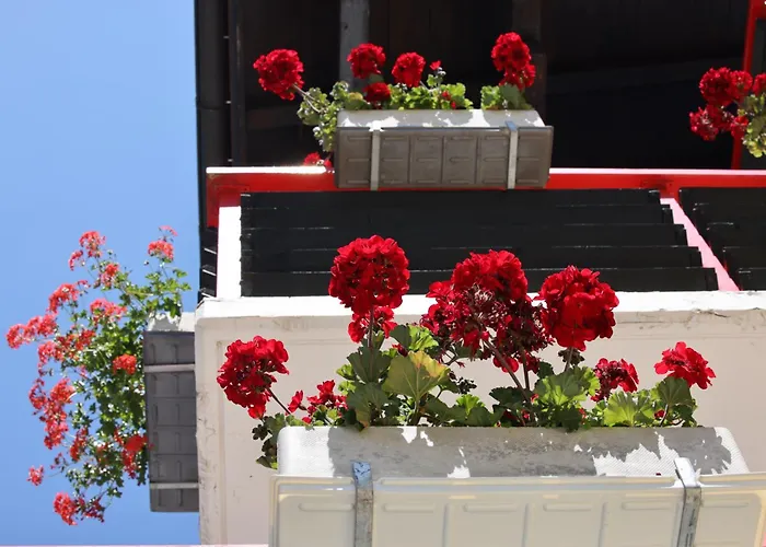 Hotel Restaurant Mattmarkblick